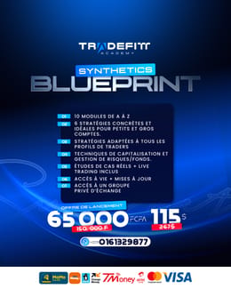 SYNTHETICS BLUEPRINT (Formation 100% Indices Synthétiques)