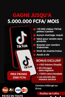 + 10 000 vidéos TikTok prêtes pour publication.