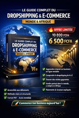 Le Guide Complet pour Maîtriser le Dropshipping & E-Commerce en Afrique et  Partout dans le Monde
