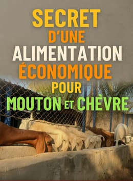 SECRET D’UNE ALIMENTATION ÉCONOMIQUE