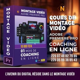 COURS MONTAGE VIDEO-PREMIERE PRO