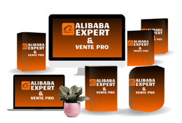 ECOM-EXPERT-ALIBABA
