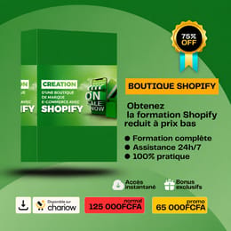 CRÉER UNE BOUTIQUE EN LIGNE DE MARQUE SHOPIFY
