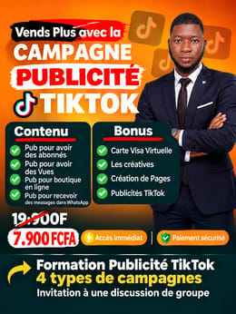 Guide Complet – Stratégies & Outils pour Campagne Publicitaire TikTok