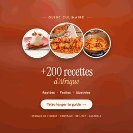 Le Guide Ultime pour cuisiner africain, varié, facile et bon tous les jours