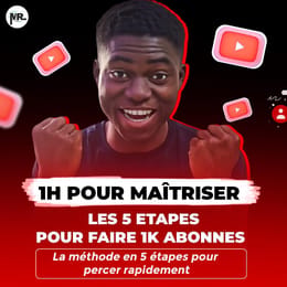 1H POUR MAÎTRISER LES STRATEGIES POUR ATTEINDRE LA MONETISATISATION DE TA CHAINE YOUTUBE