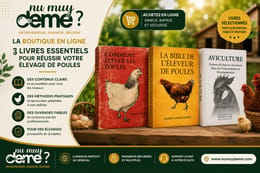Guide Aviculture pour Débutant