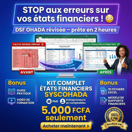 Kit DSF OHADA : Excel automatisé + Guide + Vidéo + Bonus