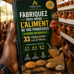 🐔 𝗙𝗮𝗯𝗿𝗶𝗰𝗮𝘁𝗶𝗼𝗻 𝗣𝗿𝗼𝘃𝗲𝗻𝗱𝗲 𝗠𝗮𝗶𝘀𝗼𝗻 — 𝟯 𝗙𝗼𝗿𝗺𝘂𝗹𝗲𝘀 𝗖𝗼𝗺𝗽𝗹è𝘁𝗲𝘀