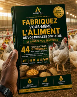 Fabriquez vous-même l'aliment de vos poulets Goliaths