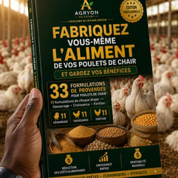 Fabriquez vous-même l'aliment de vos poulets de chair