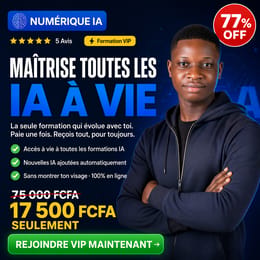 NUMÉRIQUE IA VIP