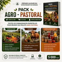 PACK AGRO PASTORAL : LES COMPETENCES A AVOIR AVANT DE LANCER SON ACIVITE EN AFRIQUE