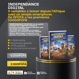 INDÉPENDANCE DIGITALE : De 0€ à Tes Premiers 1 000€ / Mois