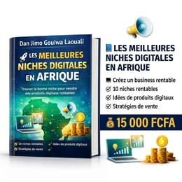 🚀 LES MEILLEURES NICHES POUR VENDRE DES PRODUITS DIGITAUX EN AFRIQUE