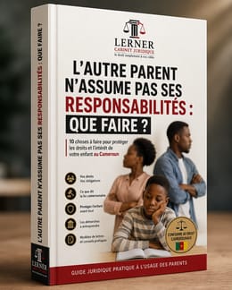 QUE FAIRE QUAND L'AUTRE PARENT N'ASSUME PAS CES RESPONSABILITÉS ?