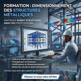 Formation Robot Structural Analysis Dimensionnement Acier / Construction métallique