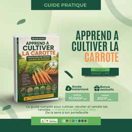 Cultive, Récolte et Vends tes Carottes comme un Pro