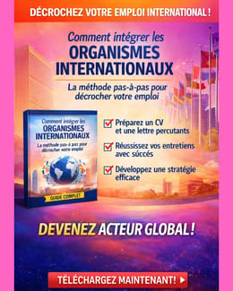 Comment intégrer les organismes internationaux : la méthode pas-à-pas pour décrocher votre emploi