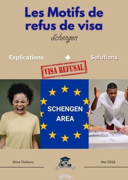 Les Motifs de refus dans les Schengen: Explications et Solutions pour relancer.
