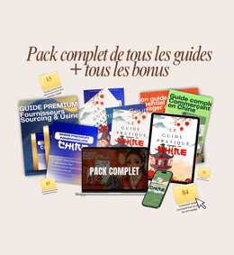 Pack complet Voyage & Business en Chine