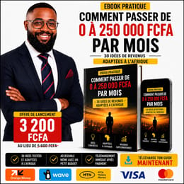 Comment passer de 0 à 250 000 FCFA par mois :  30 idées de revenus adaptées à l'Afrique