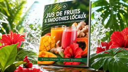 GUIDE DE PRÉPARATION DE JUS DE FRUITS & SMOOTHIES LOCAUX