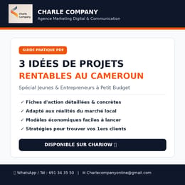 Guide Pratique : 3 Idées de Projets Rentables à Lancer au Cameroun avec Petit Budget