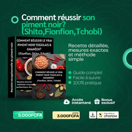 Comment réussir son piment noir (Shito, fionfion,Tchobi)?
