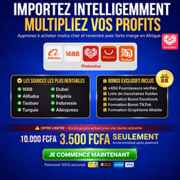 E-commerce pro Afrique