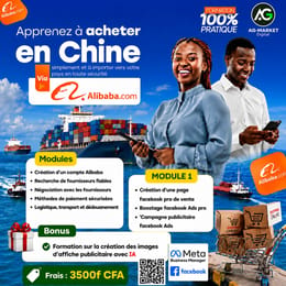 🚢 APPRENDS À ACHETER EN CHINE ET À IMPORTER EN TOUTE SÉCURITÉ ! 🇨🇳🔥