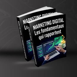 Marketing Digital - Les Fondamentaux qui rapportent
