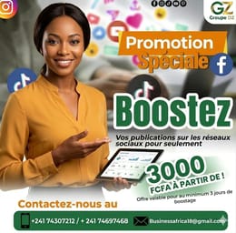 Boost & Campagne Publicitaire