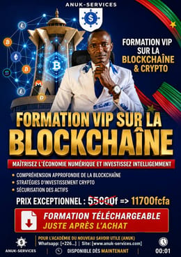 FORMATION VIP SUR LA BLOCKCHAHAÎNE CRYPTO