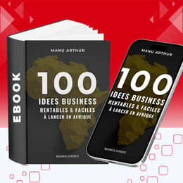 Ebook 100 IDÉES BUSINESS RENTABLES & FACILES À LANCER EN AFRIQUE