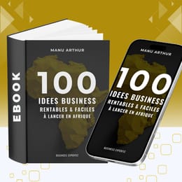 Ebook 100 IDÉES BUSINESS RENTABLES & FACILES À LANCER EN AFRIQUE (+ BONUS Masterclass)