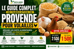 Maîtrisez la Fabrication de Provende pour Volaille – Guide PDF à Télécharger Immédiatement