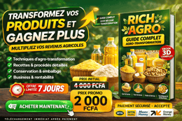 Guide d'Agro-Transformation: Créez des Produits à Forte Valeur Ajoutée