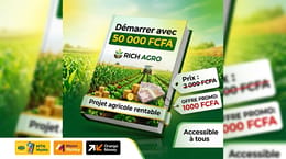 Lancez Votre Ferme Rentable Avec Seulement 50 000 FCFA: Guide Complet