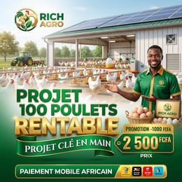 Business Plan Avicole Clé en Main: 100 Poulets Gagnants PDF Instant
