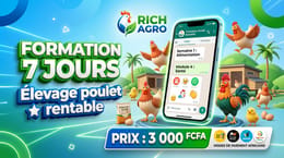 Formation WhatsApp : Élevez vos Poulets comme un Pro en une Semaine
