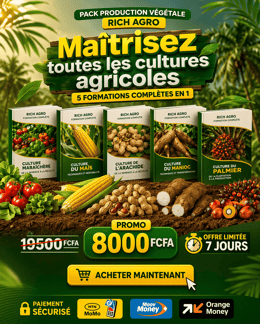 Formation Complète en Production Végétale : 5 Cours en 1 pour Cultiver Comme un Pro