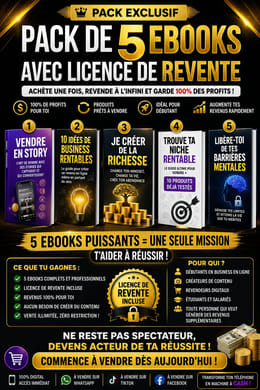 PACK DE 5 PRODUITS DIGITAUX AVEC LICENCE DE REVENTE