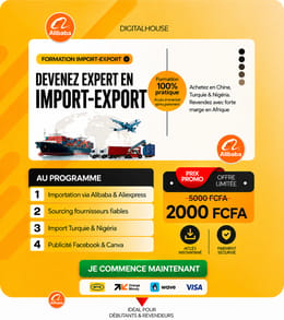 FORMATION VIDÉO Import-Export