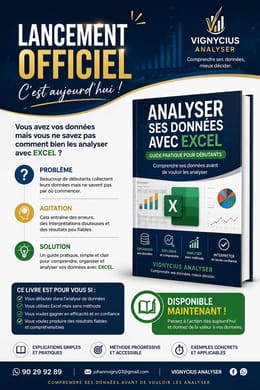 Excell pour l'analyse de données -guide pratique pour débuter