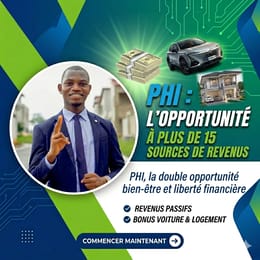LE BUSINESS PARFAIT POUR L'AFRICAIN