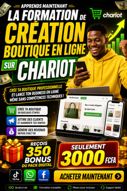 Création de boutiques et 350 packs