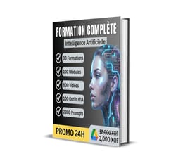 Formation complète en IA