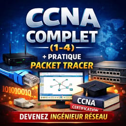 Formation Complète CCNA (1-4) + Pratique Packet Tracer