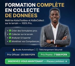 Formation Terrain: Devenez l'expert KoboToolbox que les ONG et l'ONU s'arrachent pour leurs missions